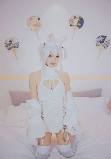 大秦赋电视剧
