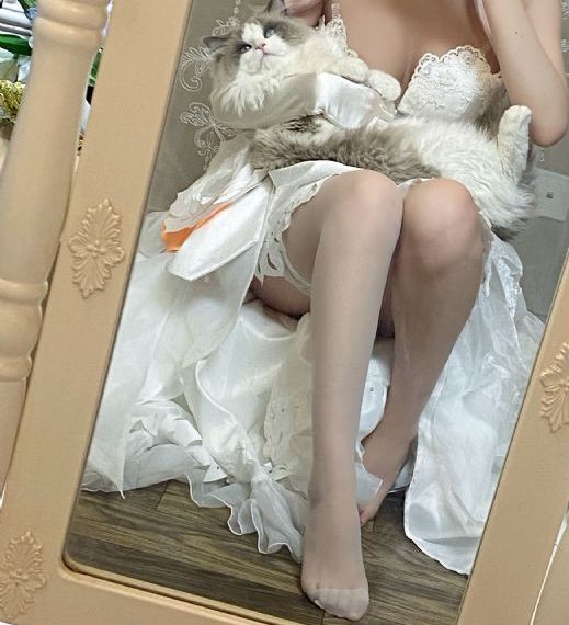 电视剧《走过柳源》在线观看