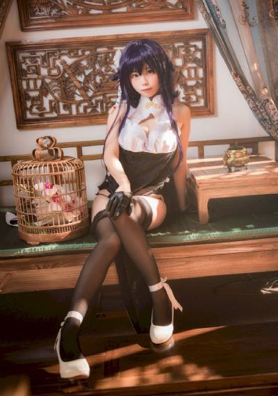 完美奴仆