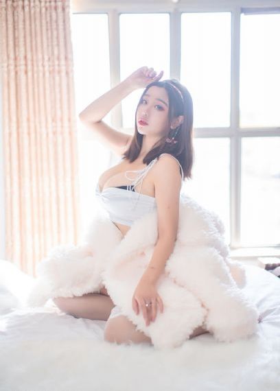 芳芳郁金香