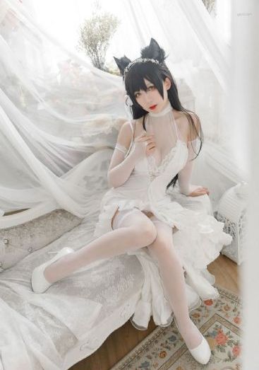 日韩电影免费在线观看视频